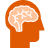 neurology icon image icon